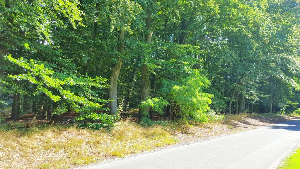 Ferienwohnung Strudthoff Ganderkesee Eksteriør bilde